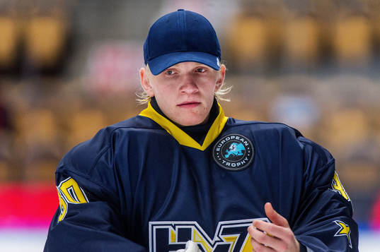 Viktor Kokman, målvakt, HV71