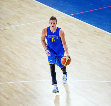 Jonas Jerebko, Sverige