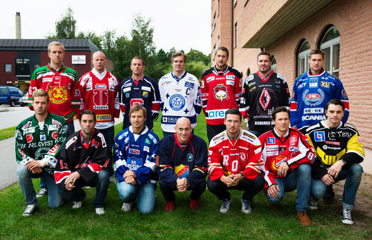 Spelare i Hockeyallsvenskans lag 2012/2013, gruppbild.