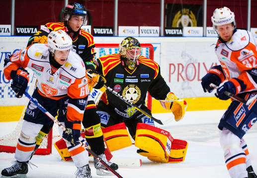 Johan Holmqvist, målvakt, Brynäs