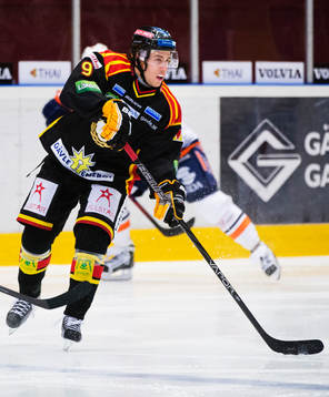 Sebastian Enterfeldt, Brynäs