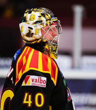 Johan Holmqvist, målvakt, Brynäs