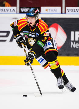 Christian Djoos, Brynäs