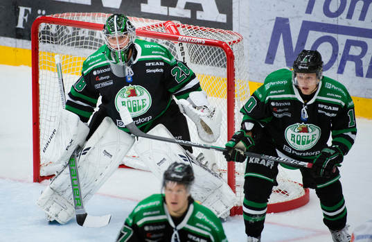 Martin Gerber, målvakt, Rögle