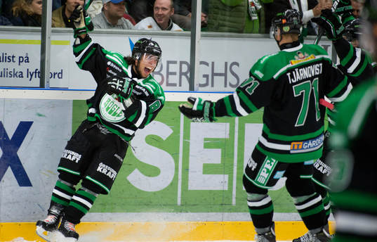 Alexander Lindqvist Hansen, Rögle