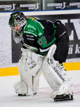 Martin Gerber, målvakt, Rögle inte helt nöjd