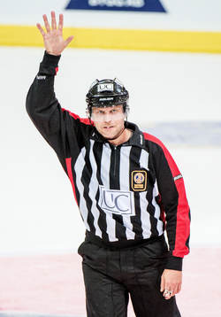 Ulf Rönnmark, domare