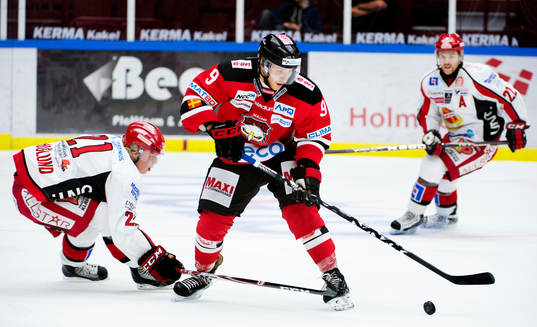Sebastian Höglund, Almtuna, Fredrik Storm, Malmö Redhawks