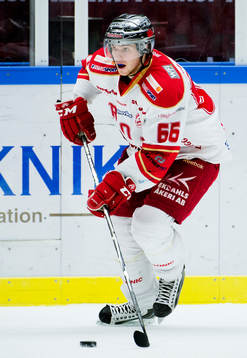 Istvan Bartalis, Troja Ljungby