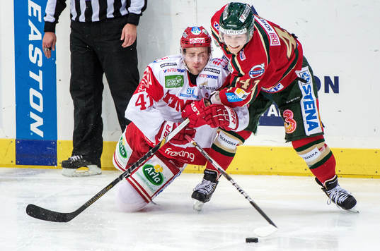 Oscar Hedman, Timrå