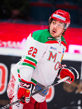 Gasper Kopitar, Mora