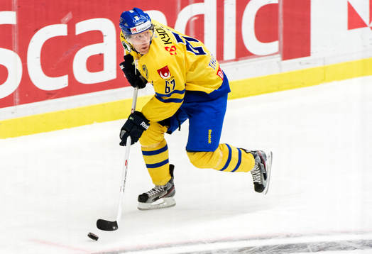 Martin Thörnberg, Sverige