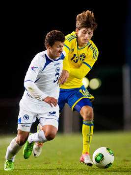 Sveriges Arber Zeneli