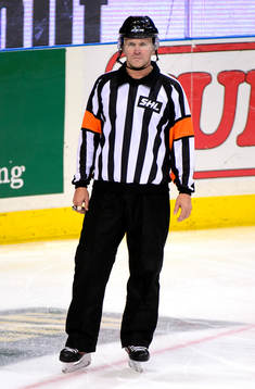 Domare Christer Lärking