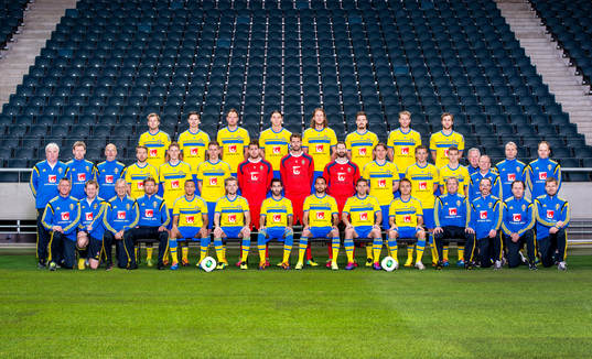 Bak fr.v. Mikael Antonsson, Mikael Lustig, Andreas Granqvist, Zlatan Ibrahimovic, Jonas Olsson, Per Nilsson, Ola Toivonen, Johan Elmander. Mitten fr.v. Reine Almqvist, Peter Wettergren, Henning Svendsen, Adam Johansson, Rasmus Elm, Pontus Wernbloom, Kristoffer Nordfeldt, målvakt, Andreas Isaksson, målvakt, Johan Wiland, målvakt, Kim Källström, Alexander Gerndt, Alexander Kacaniklic, Jan-Erik Hammarbäck, Leif Swärd, Lars Eriksson och Johan Allgulander. Främre raden fr.v. Jan Gustavsson, Paul Balsom, Lars Richt, players manager Marcus Allbäck, Martin Olsson, Sebastian Larsson, Jimmy Durmaz, Erkan Zengin, Anders Svensson, Pierre Bengtsson, förbundskapten Erik Hamrén, Richard Dahan, Niklas Bodell och Roger Jacobsson. Lagbild på Sveriges landslag den 17 november 2013 i Stockholm.