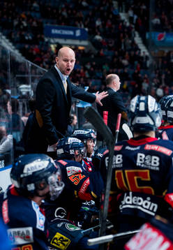 Djurgårdens tränare Tony Zabel