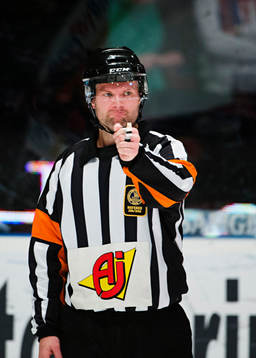 Domare David Bergman