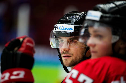 Malmö Redhawks Brian Ihnacak