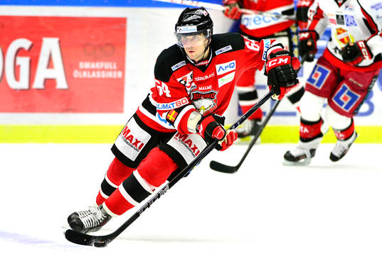 Malmö Redhawks Brian Ihnacak