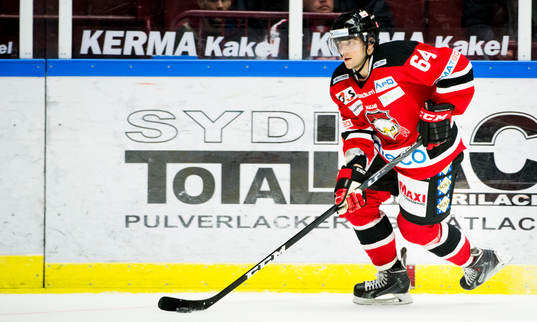 Malmö Redhawks Brian Ihnacak