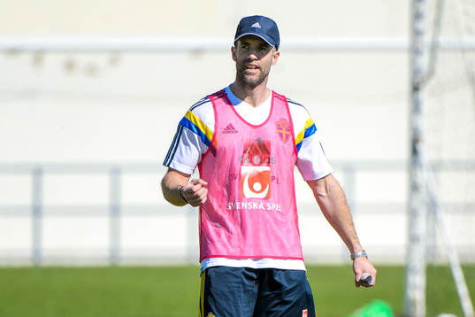 Sveriges assisterande förbundskapten Matti Demegård på