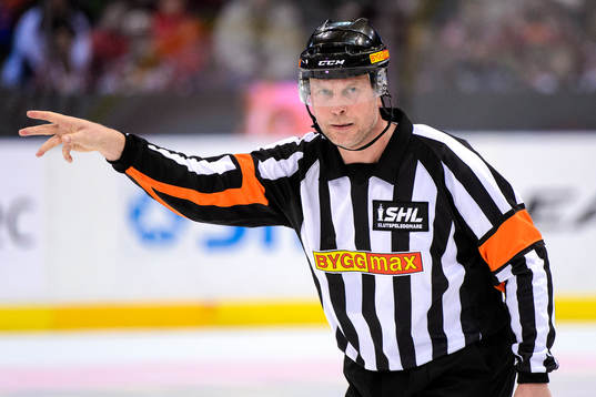 Domare Ulf Rönnmark