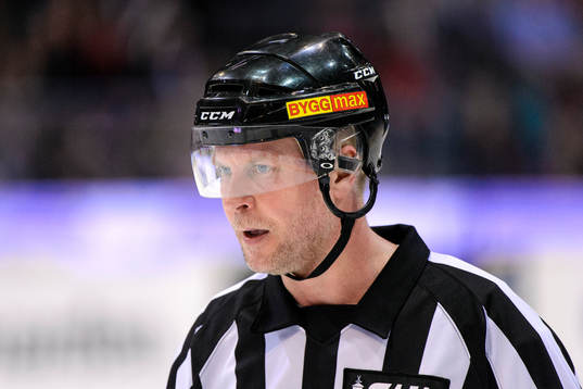 Domare Ulf Rönnmark