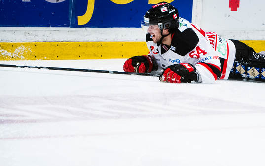 Malmö Redhawks Brian Ihnacak