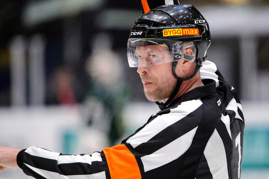 Domare Ulf Rönnmark