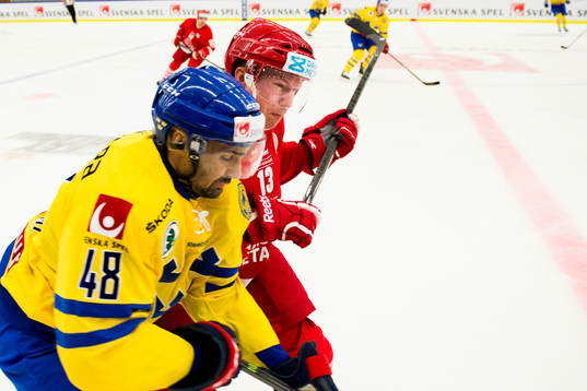 Sveriges Daniel Rahimi