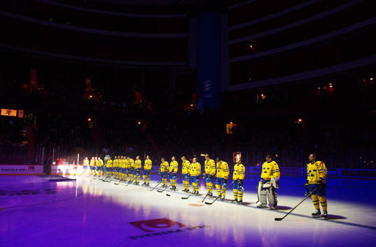 Sveriges spelare står uppställda