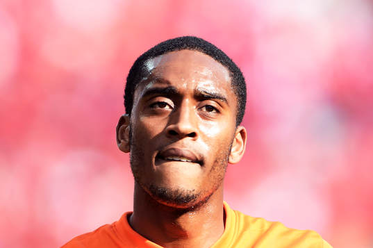 Hollands Leroy Fer