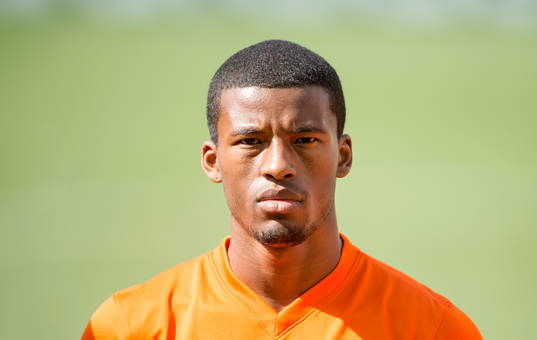 Hollands Leroy Fer 