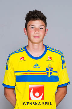 Felix Konstandeliasz, som spelar i P15/99-landslaget, poserar för ett porträtt den 1 augusti 2014 i Stockholm.