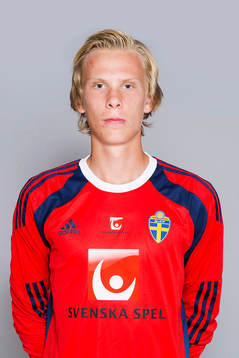 Pontus Dahlberg, som spelar i P15/99-landslaget, poserar för ett porträtt den 1 augusti 2014 i Stockholm.