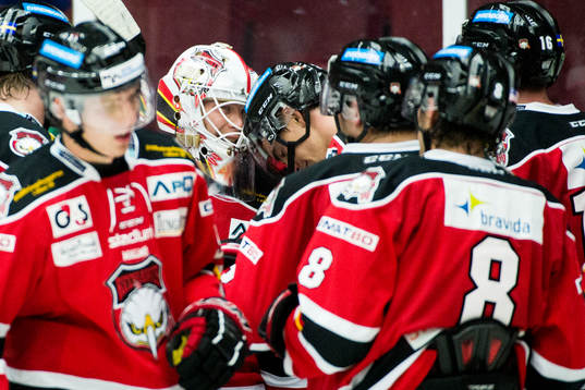 Malmö Redhawks spelare med målvakt Pontus Sjögren (m)