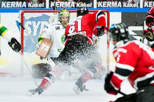 Malmö Redhawks Nicklas Jadeland oroar framför