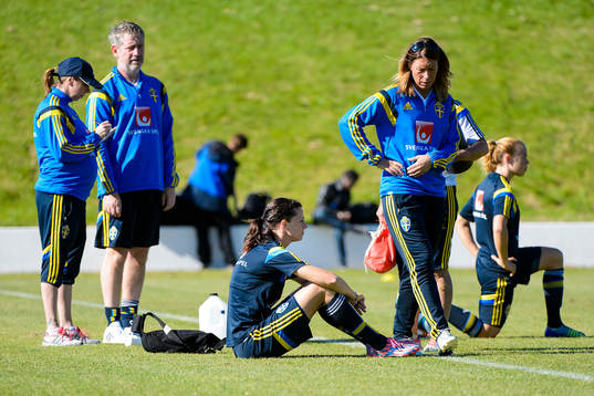 Lotta Schelin sitter på planen