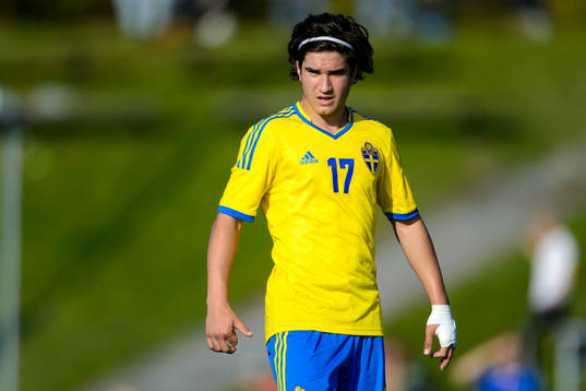 Sveriges Almin Masic