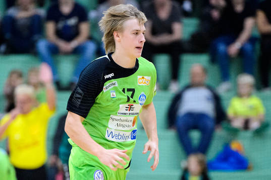 Alingsås Olle Ek