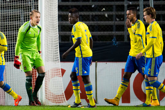 Sveriges målvakt Patrik Carlgren skriker ut sin ilska mot det svenska försvaret