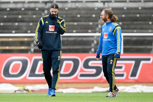  Sveriges landslags sjukgymnast Rickard Dahan pratar med Sveriges Zlatan Ibrahimovic