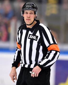 Domare Morgan Johansson