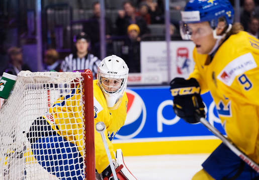 Sveriges målvakt Linus Söderström