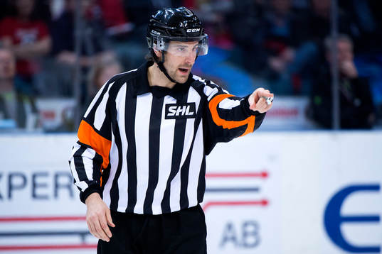 Domare Mikael Sjöqvist