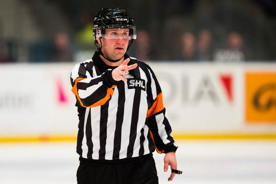 Domare Christoffer Karlsson