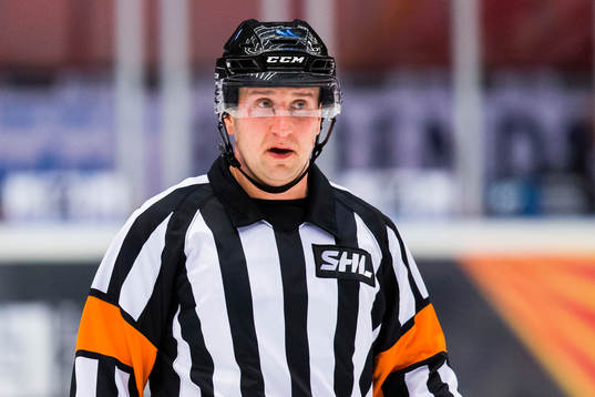 Domare Christoffer Karlsson