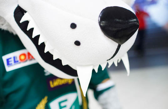 Ture Varg har vässat gaddarna