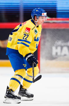 Sveriges Andre Petersson