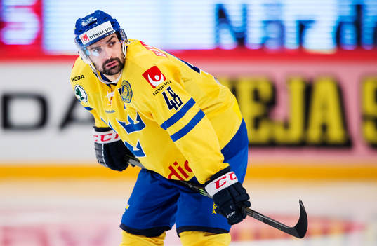 Sveriges Daniel Rahimi